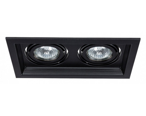 Встраиваемый светильник Arte Lamp Canis A6661PL-2BK Встраиваемый светильник Arte Lamp Canis A6661PL-2BK