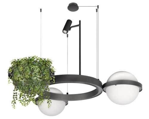 Подвесная люстра Loft it Jardin 10121/2 Dark grey Подвесная люстра Loft it Jardin 10121/2 Dark grey