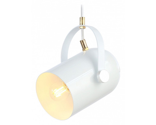 Подвесной светильник Ambrella Light TR TR8205 Подвесной светильник Ambrella Light TR TR8205