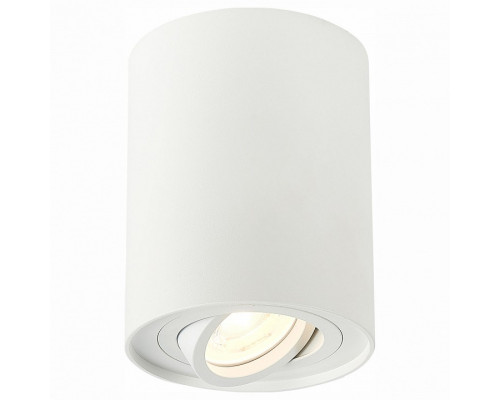 Спот ST-Luce Torus ST108.517.01 Спот ST-Luce Torus ST108.517.01