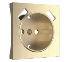 Накладка для розетки с заземлением и 2хUSB Werkel шампань рифленый W1179510