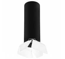 Накладной светильник Lightstar Rullo R6497486