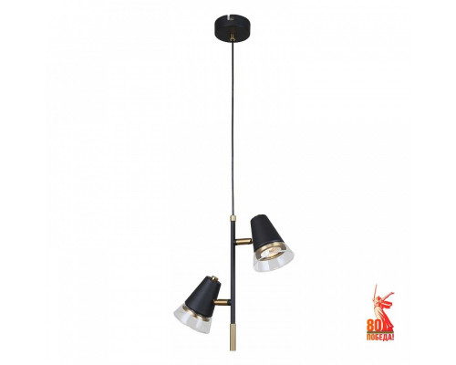 Подвесной светильник F-promo Trandy 4618-2P Подвесной светильник F-promo Trandy 4618-2P