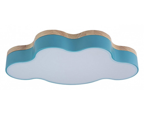 Накладной светильник Loft it Axel 4 10005/30 Blue Накладной светильник Loft it Axel 4 10005/30 Blue