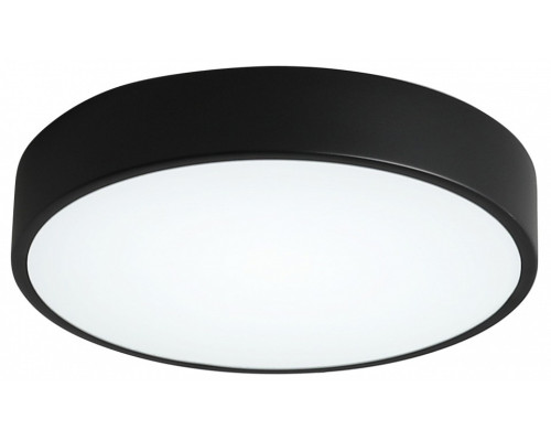 Накладной светильник Zortes Tortty ZRS.02563.48 Накладной светильник Zortes Tortty ZRS.02563.48