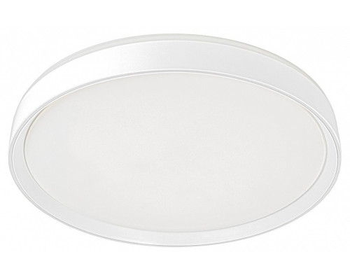 Накладной светильник Citilux BOSS CL751450G Накладной светильник Citilux BOSS CL751450G