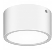 Накладной светильник Lightstar Zolla 380163