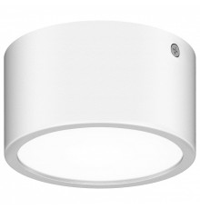 Накладной светильник Lightstar Zolla 380163