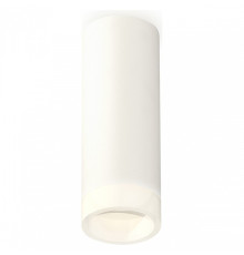 Накладной светильник Ambrella Light XS XS6342043