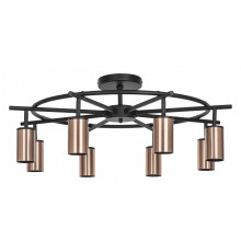 Люстра на штанге Lightstar Rullo LR718308