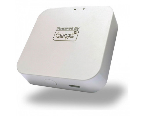 Конвертер Wi-Fi для смартфонов и планшетов Denkirs Smart DK7400-WF Конвертер Wi-Fi для смартфонов и планшетов Denkirs Smart DK7400-WF
