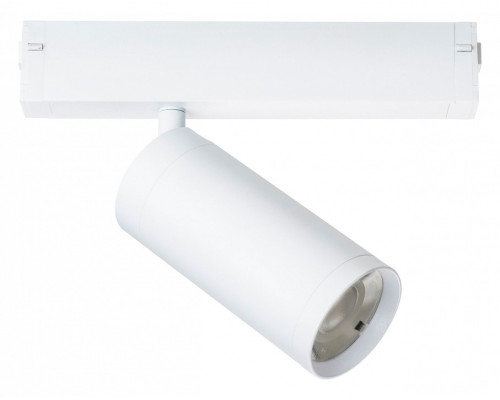 Светильник на штанге Lightstar Teta 205036 Светильник на штанге Lightstar Teta 205036