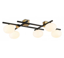 Потолочная люстра Ambrella Light LH LH51015
