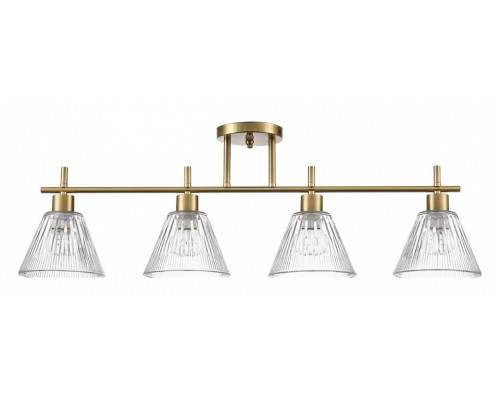 Светильник на штанге Lumion Vivian 8188/4C