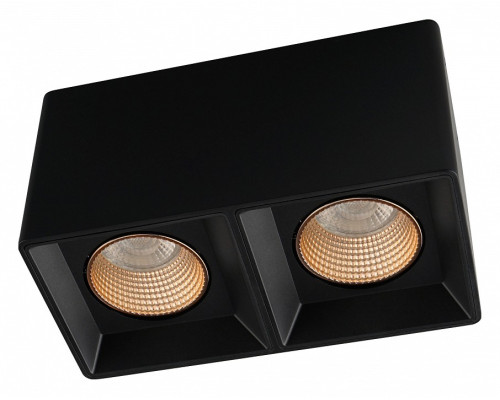Накладной светильник Denkirs DK3030 DK3085-BK+BR Накладной светильник Denkirs DK3030 DK3085-BK+BR