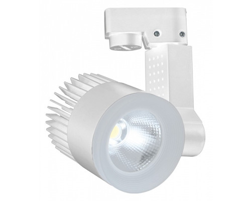 Светильник на штанге Escada 20030 20030TRA/02LED SWH Светильник на штанге Escada 20030 20030TRA/02LED SWH