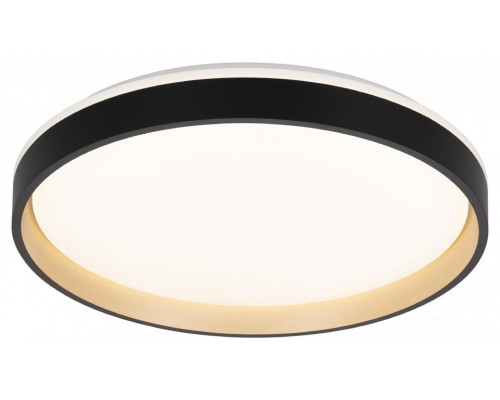 Накладной светильник Citilux ENZO CL753451G Накладной светильник Citilux ENZO CL753451G
