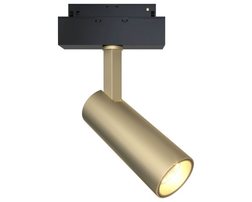 Светильник на штанге Maytoni Focus LED TR019-2-10W3K-MG Светильник на штанге Maytoni Focus LED TR019-2-10W3K-MG