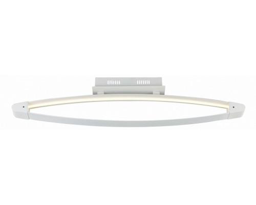 Накладной светильник ST-Luce SL920 SL920.102.01 Накладной светильник ST-Luce SL920 SL920.102.01