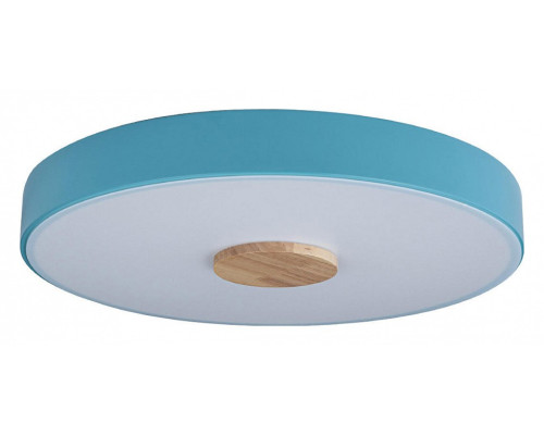 Накладной светильник Loft it Axel 2 10003/24 Blue Накладной светильник Loft it Axel 2 10003/24 Blue