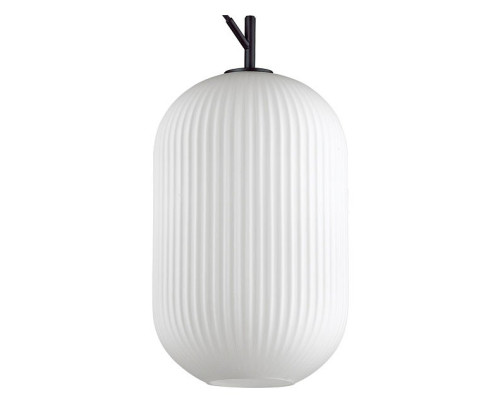 Подвесной светильник Odeon Light Roofi 4752/1 Подвесной светильник Odeon Light Roofi 4752/1