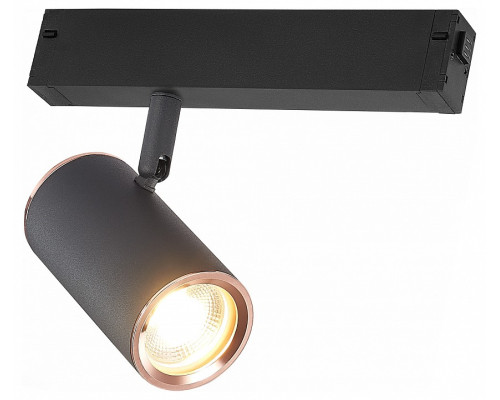 Светильник на штанге ST-Luce SKYLINE 220 ST504.426.01 Светильник на штанге ST-Luce SKYLINE 220 ST504.426.01