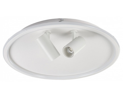 Накладной светильник MyFar Focus MR9050-CL Накладной светильник MyFar Focus MR9050-CL
