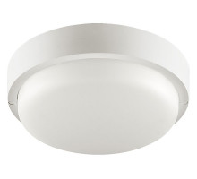 Накладной светильник Wolta  LCL04-12W-R41-6K-SBA
