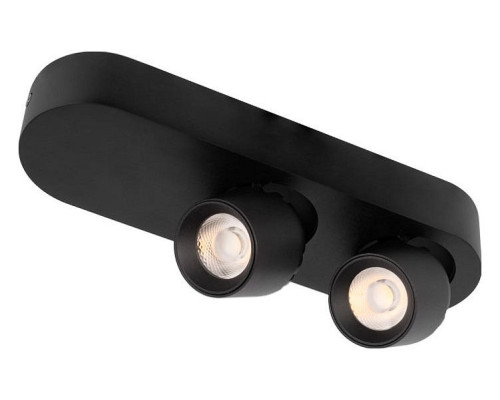 Накладной светильник Loft it Quiet 10320/2 Black Накладной светильник Loft it Quiet 10320/2 Black