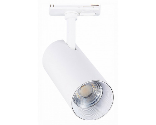 Светильник на штанге ST-Luce Mono ST350.546.20.36 Светильник на штанге ST-Luce Mono ST350.546.20.36