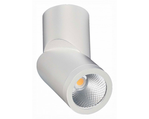 Светильник на штанге ST-Luce ST650 ST650.532.10 Светильник на штанге ST-Luce ST650 ST650.532.10