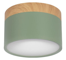 Накладной светильник Loft it Grape 10162 Green