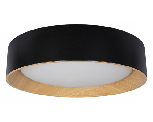 Накладной светильник Loft it Coin 10202 Black Накладной светильник Loft it Coin 10202 Black