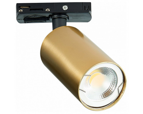 Светильник на штанге ST-Luce ST300 ST300.206.01 Светильник на штанге ST-Luce ST300 ST300.206.01