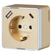 Розетка с заземлением и со шторками и USB Werkel Gallant (шампань рифленый) W5071710
