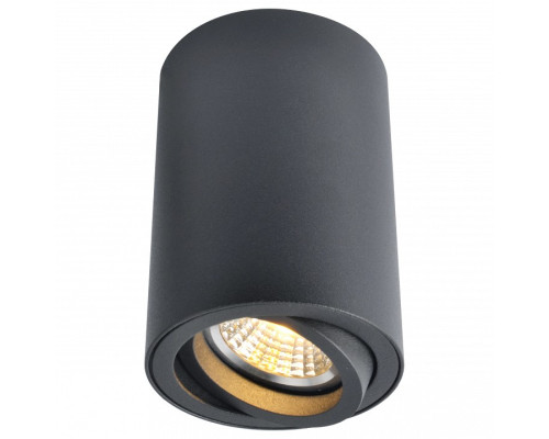 Накладной светильник Arte Lamp Sentry A1560PL-1BK Накладной светильник Arte Lamp Sentry A1560PL-1BK