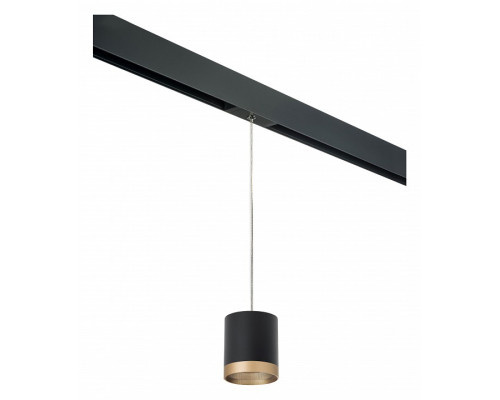 Подвесной светильник Lightstar Rullo PRORP348790 Подвесной светильник Lightstar Rullo PRORP348790