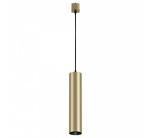 Подвесной светильник Maytoni Focus TR025-1-GU10-MG