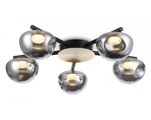 Потолочная люстра Ambrella Light LH LH12009