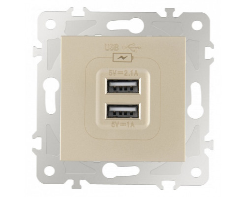 Розетка USB, без рамки Arte Milano am-203 203.46-1.shampan Розетка USB, без рамки Arte Milano am-203 203.46-1.shampan