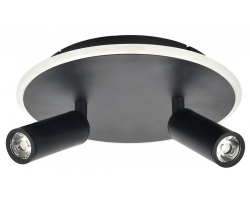 Светильник на штанге Escada 20046LED 20046SMA/02LED BK Светильник на штанге Escada 20046LED 20046SMA/02LED BK