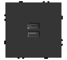 Розетка USB и type C без рамки Stekker RST10-5115-05 49853