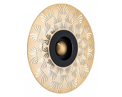 Накладной светильник Arte Lamp Biscotto A2643AP-1GO Накладной светильник Arte Lamp Biscotto A2643AP-1GO