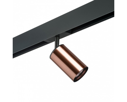 Светильник на штанге Lightstar Rullo PRO430 Светильник на штанге Lightstar Rullo PRO430