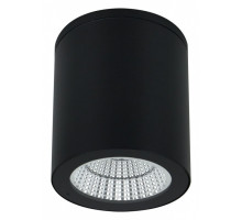 Накладной светильник Arte Lamp A1813 A1813PF-1BK