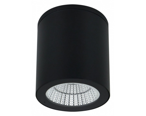 Накладной светильник Arte Lamp A1813 A1813PF-1BK Накладной светильник Arte Lamp A1813 A1813PF-1BK