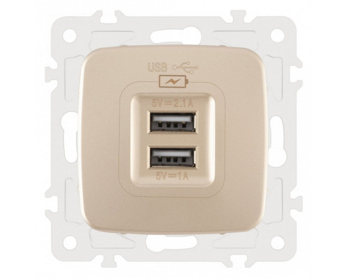 Розетка USB, без рамки Arte Milano am-205 205.46-1.shampan Розетка USB, без рамки Arte Milano am-205 205.46-1.shampan