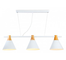 Подвесной светильник Ambrella Light TR TR8196