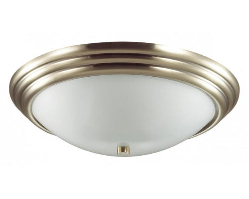 Накладной светильник Lumion Kayla 5262/3C Накладной светильник Lumion Kayla 5262/3C