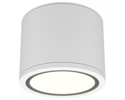 Накладной светильник Maytoni Rendo C095CL-GX53-W Накладной светильник Maytoni Rendo C095CL-GX53-W